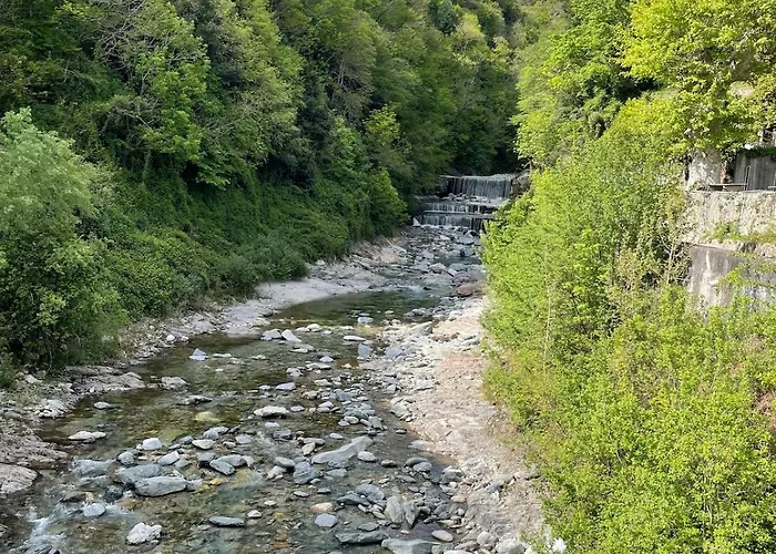 River House Hébergement de vacances